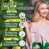 Mullein Gummies - Mullein Leaf Extract for Lungs, Mullein Leaf