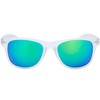 The Fresh Matte Frosted Frame Mirror Lens Spring Temple Horn
