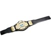 WWE Winged Eagle Championship Belt