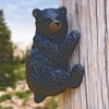 Black Forest Décor Climbing Bear Tree/Post Wall Hanging Sculpture