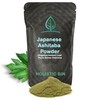 Holistic Bin Japanese Ashitaba Powder – Made with Ashitaba Leaves