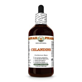 Celandine (Chelidonium Majus) Dry Above-Ground Parts Glycerite, Made in Hawaii, Organic Raw Materials, All Natural, Vegan, Lab Tested Alcohol-Free Liquid Extract - 4 fl.oz