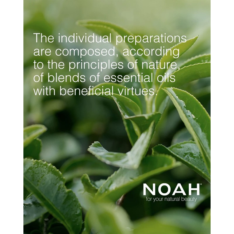 NOAH Natural 1.15 Fortifying Hair Treatment Vials Serum for Weak