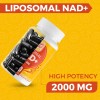 Cuerpo Sano Suplemento Nad 2000mg 120 Cápsulas