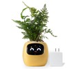 Ivy Smart Planter Automatic Watering System Plant Care with Robot