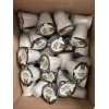 Van Houtte Original House Blend Pods. 48 Pods. Bulk