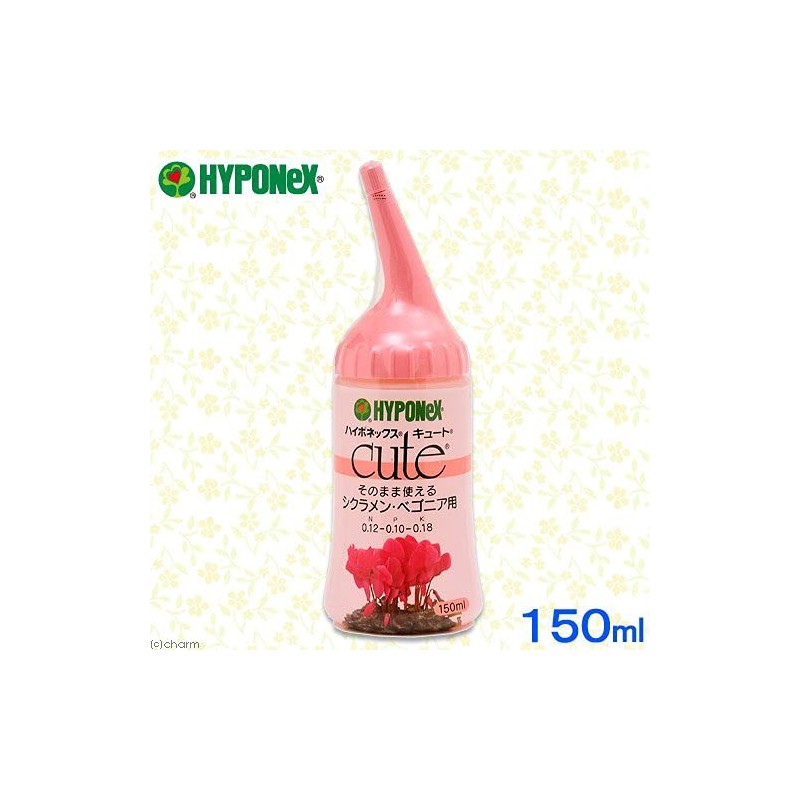 haiponekkusu Cute sikuramen Begonia For 150ml