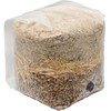 Brown Rice Flour All-in-One Mushroom Grow Bag