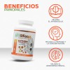Justolfocus 90 Cápsulas De Glutamina + 7 Vitaminas Sabor Sin