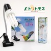 FUNKS Bird Cage UVB Light Combo Kit, AvianSun Lamp 2.4%
