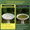 Niteguy Bird Bath Copper Disk,Bird Bath Purification Disk 0.6mm Reinforced
