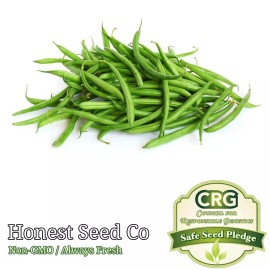 Honest Seed Co Blue Lake POLE Green Bean Seeds | Non-GMO | Heirloom | Fresh Garden Seeds BULK - 20+