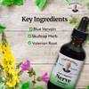 Christopher's Original Formulas Nerve Formula, Natural Herbal Supplement, 2 oz