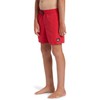 Quiksilver Boys' Everyday Solid Volley YTH 14 Jam/Volley (Pack of