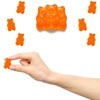 Fruidles Orange Gummi Bears Candy, Fruit Flavors Gummies, Allergy Friendly,