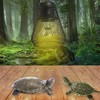 Reptile Lampshade Timed Lightweight Hangable Multifunctional Lightweight Heater Guard