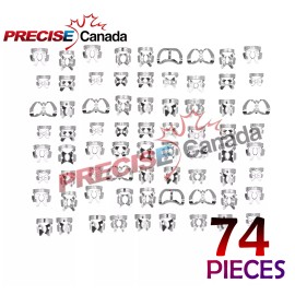 PRECISE CANADA 74 ENDODONTIC RUBBER DAM CLAMP DENTAL INSRTRUMENTS ENDO