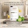 Shampoo Profesional de Bergamota y Vitamina E Anticaída a Granel