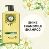 Champú Herbal Essences Shine Collection 292 Fl Oz 292 Fl