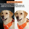 Pecheras Arnes Perro Apto Para Todo Tipo De Cuerpo Ajustable