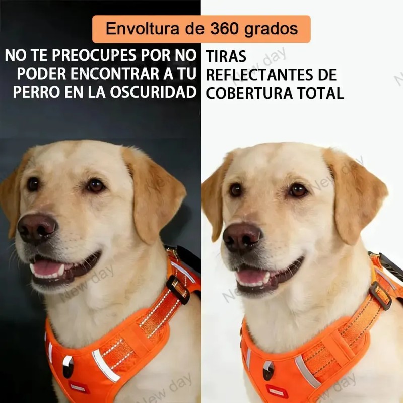 Pecheras Arnes Perro Apto Para Todo Tipo De Cuerpo Ajustable