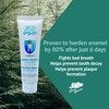 Green Beaver Naturapeutic Toothpaste - Enamel Protect, Fresh Mint -