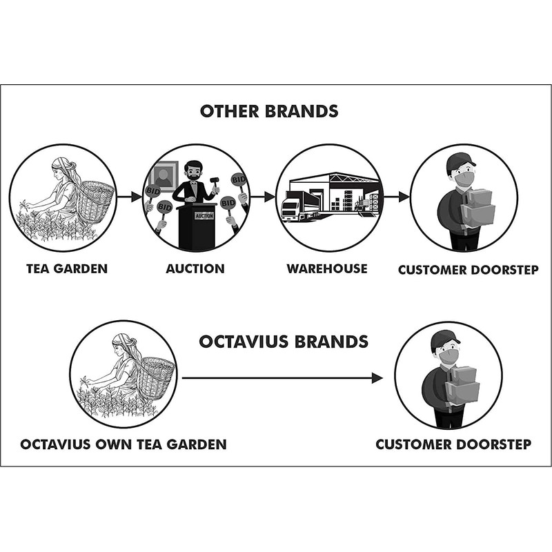 Octavius Wooden Caddy Tea Sampler Packs (3 Loose - Assam/Darjeeling/Nilgiri)