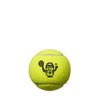 Wilson WR8202401001 Tennis Balls, Hard Balls, 1 Can, 3 Balls,