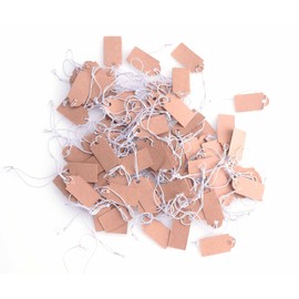 Ruwado 100 Pcs Price Tags with Hanging String Writable Blank Display Cards for Jewelry Store Store Price Marking Ornament Pricing Product Clothing Hanging Tags (Kraft)