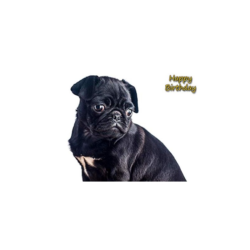 Pug Birthday Card
