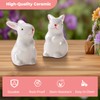 Ceramic Toilet Bowl Bolt Caps Covers, Rabbit Design (2-Pack) -