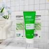 Doctor Sante Dr. Sante Artemisia Aca Cream 150g / 닥터