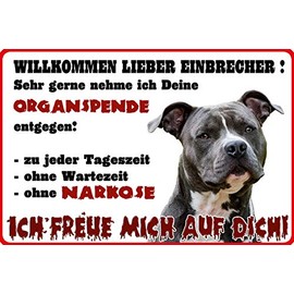 Schatzmix Saying Willkommen Lieber Einbrecher Ich freue Mich auf Dich Warning Sign Metal Sign 20 x 30 cm Wall Decoration Tin Sign Tin Sign, Sheet Metal, Multi-Coloured