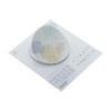 Sunstar Stationery S2843005 Sticky Notes Walk in the Park