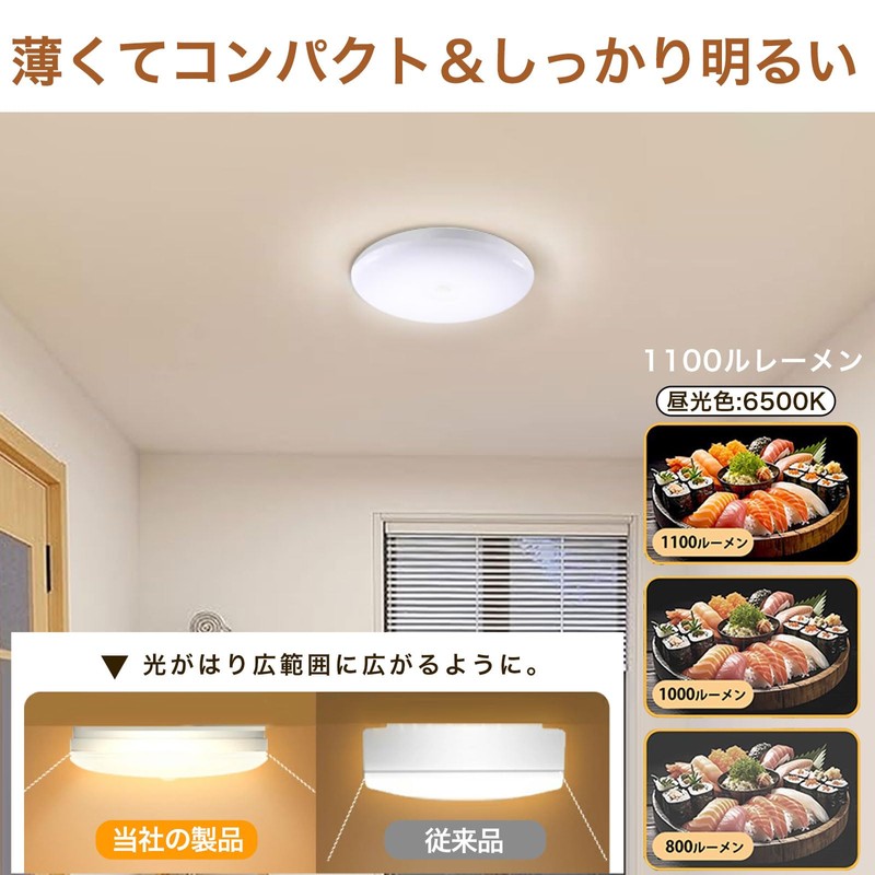 Japanese Quality Ceiling Light, Small, Motion Sensor, Entrance Light, Daylight