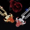 Chicago Bulls GEM NECKLACE Gold/Silver Bling Hip Hop Pendant &