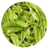 GOARTEA Green Tea 100g / 3.5oz Premium Anji White Tea