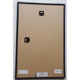 Ted Nugent NYC Framed Concert Poster