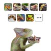 WOLEDOE 100Pcs Crested Gecko Food Dish, 0.5oz Plastic Reptile Feeding