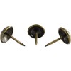 Upholstery Tacks for Furniture, Vintage Upholstery Nails, 100Pcs, ∅7/16" x