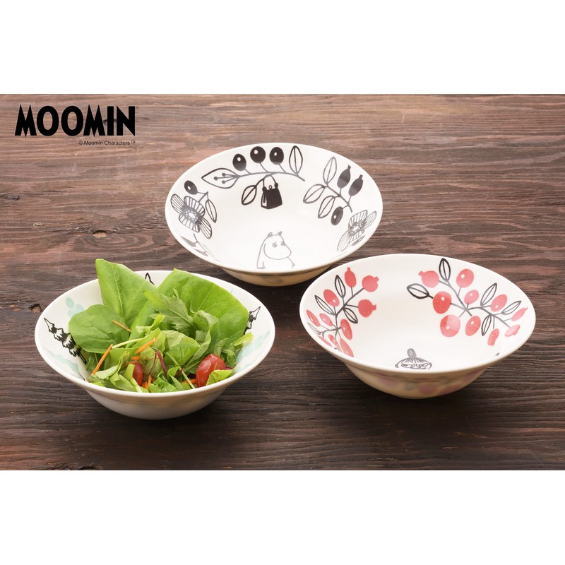 Yamakasyoten Tableware Bowl, Moomin Character, Scandinavian Salad Bowl, MOOMIN Valley