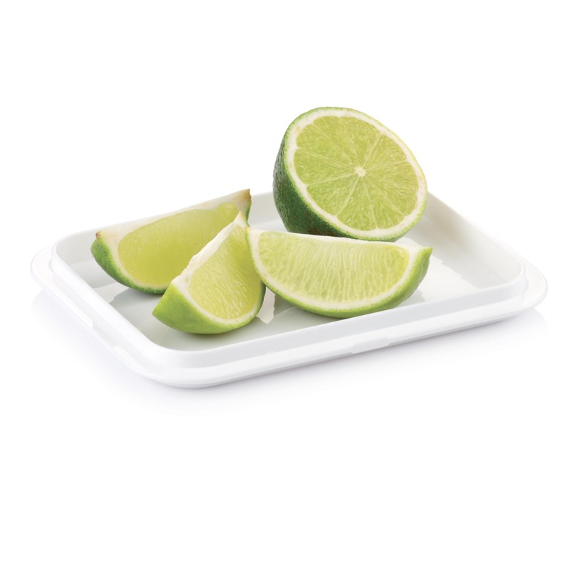 Tescoma Healthy Container for The Refrigerator Purity, Small, Assorted