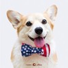 Lionet Paws Patriotic Dog Collar with Bowtie, 4th of July,