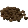 Loving Pets Houndations Lamb Training Treats Dog Treat, 4 Oz/One