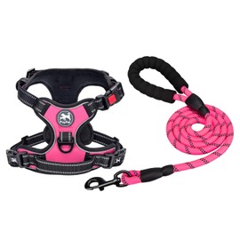 PoyPet Dog Harness and Leash Combo, Escape Proof No Pull Vest Harness, Reflective Adjustable Soft Padded Pet Harness with Handle for Small to Large Dogs(Pink,L)