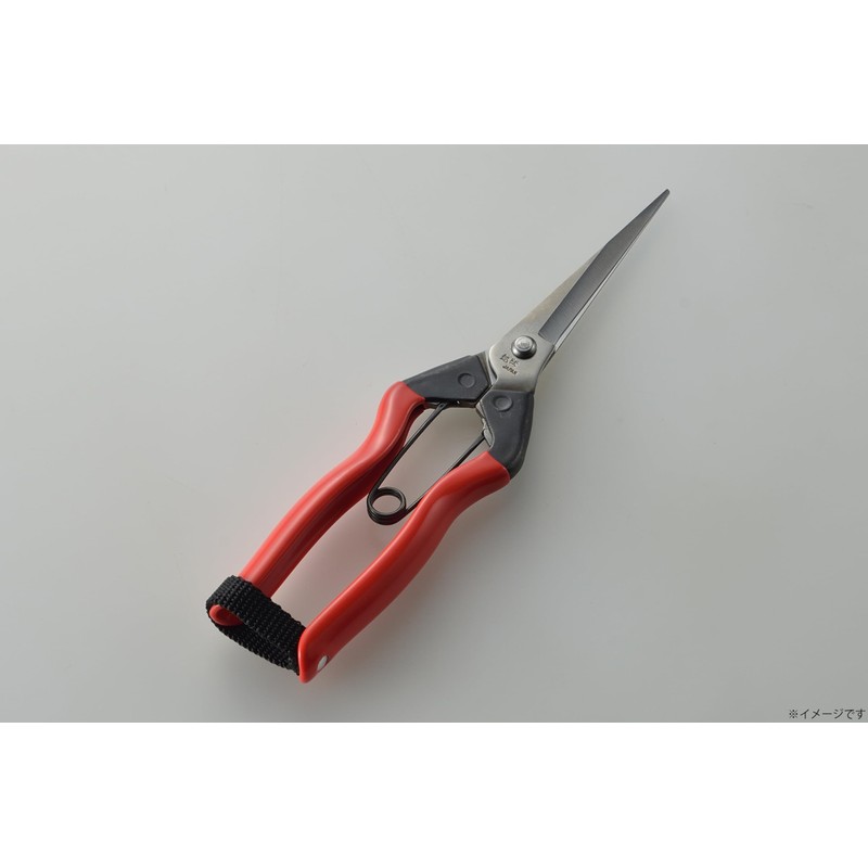 Takagi Koshiji×TAKAGI Stainless Steel Blade Long Bud Cutting/Fruit Thinning Shears