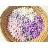 TH Set of 50 Tiny Flower Mixed Tone Purple White