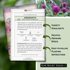 Sow Right Seeds - Purple Globe Amaranth Seeds for Planting