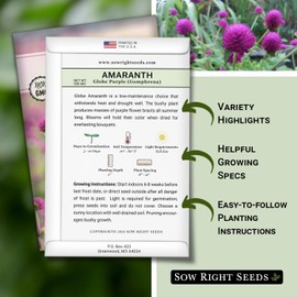 Sow Right Seeds - Purple Globe Amaranth Seeds for Planting - Non-GMO Heirloom Packet with Instructions to Plant & Grow an Outdoor Home Flower Garden - Gomphrena Pompom Flowers - Use Dried for Tea (1)