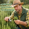 30–35PCS Dried Whole Rosemary Sprigs, 2.5oz Natural Spices in Clear-Window